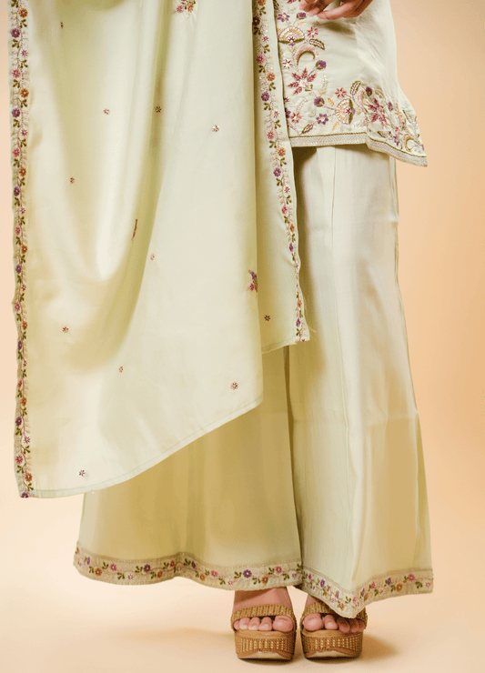 Pastel Pista Plaza Set with Border Dupatta & Classy V-Neck