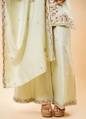 Pastel Pista Plaza Set with Border Dupatta & Classy V-Neck